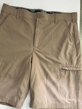 Birdie Bound Men's Flat Front Shorts - Khaki- Size 32